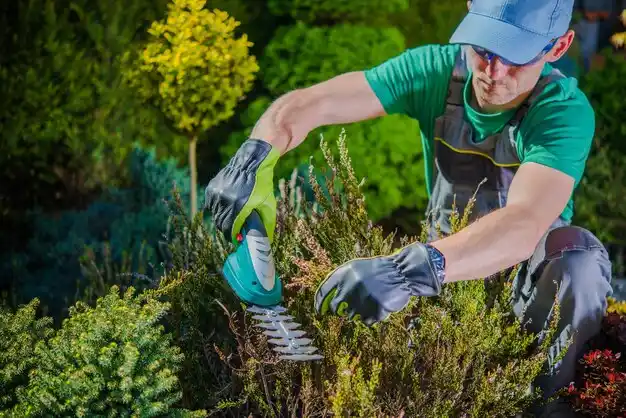 landscaping services New Middletown
